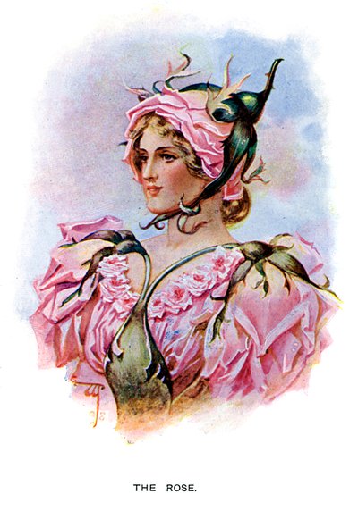 La Rosa, 1899 de Unbekannt