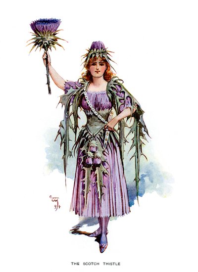 El cardo escocés, 1899 de Unbekannt
