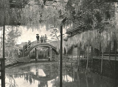 El estanque Shinji-No-Ike y glicinas, Kameido, Tokio, Japón, 1895 de Unbekannt