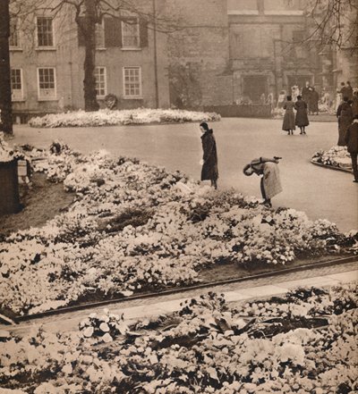 El funeral de estado del rey Jorge V en Windsor: coronas conmemorativas, 1936 de Unbekannt