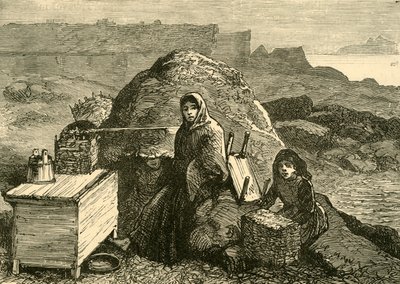 El estado de Irlanda: Una familia desalojada cerca de Errismore, c. 1880 de Unbekannt