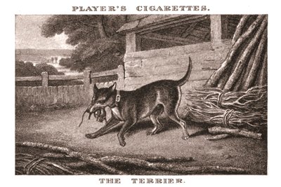 El Terrier, 1924 de Unbekannt