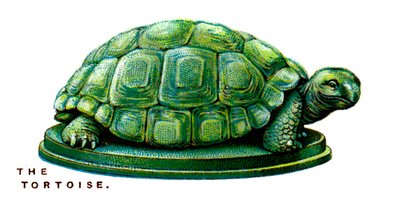 La tortuga, 1923 de Unbekannt