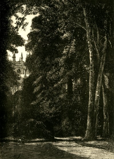 La Torre de Merton, desde el jardín, 1898 de Unbekannt
