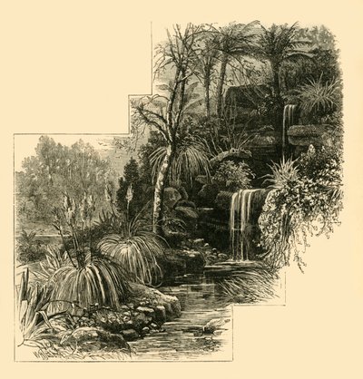 Los jardines tropicales, Battersea Park, c. 1878 de Unbekannt