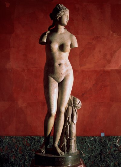 La Venus Tauride o Venus de Tauris, siglo II d.C. de Unbekannt