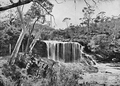 La Roca Llorona en Wentworth Falls, Montañas Azules, c1900 de Unbekannt