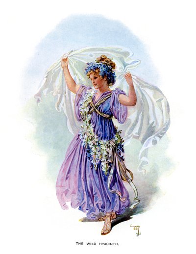 El Jacinto Silvestre, 1899 de Unbekannt