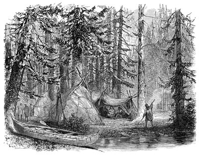 Los bosques antes del emigrante, 1900 de Unbekannt