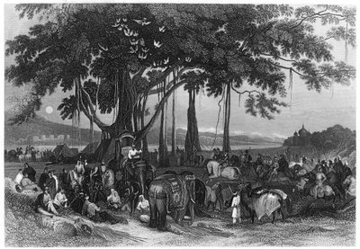 La llegada de la fuerza contingente de la caballería irregular Sikh, India, c1860 de Unbekannt