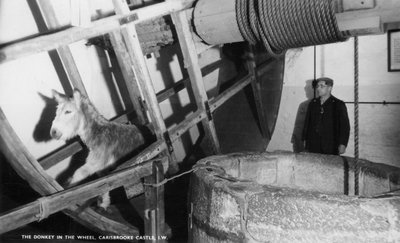 El burro en la rueda, Castillo de Carisbrooke, cerca de Newport, Isla de Wight, siglo XX de Unbekannt