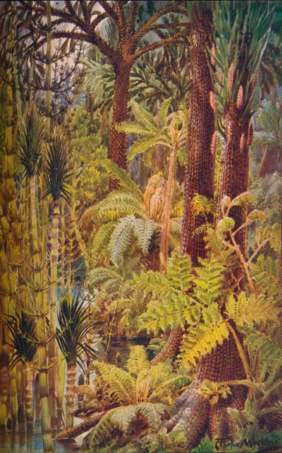 La vegetación gigantesca de la Era Carbonífera, 1907 de Unbekannt