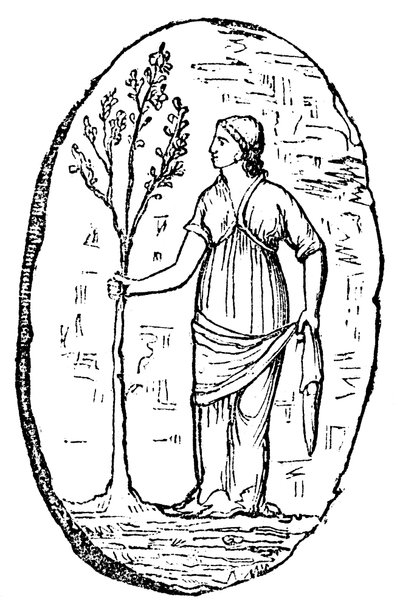 La diosa Minerva sosteniendo un joven olivo de Unbekannt