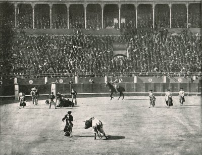 El interior de la Plaza de Toros, Madrid, España, 1895 de Unbekannt