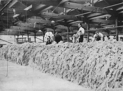 La fabricación de caqui - Mezcla de lana, 1915 de Unbekannt