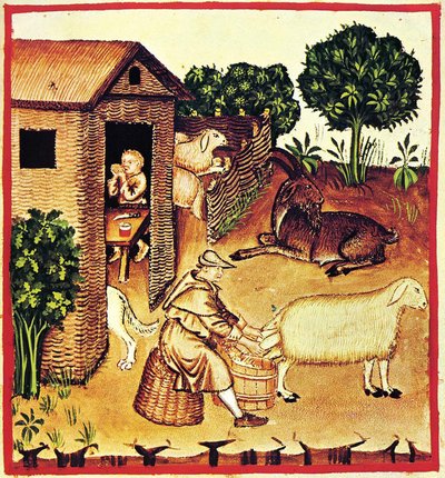 La producción de queso. Una miniatura del Tacuinum Sanitatis, segunda mitad del siglo XIV de Unbekannt