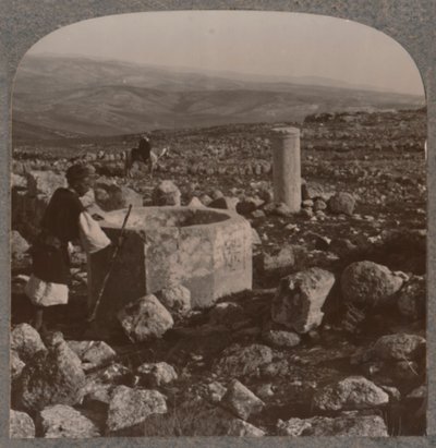 Las ruinas de Tekoa, c. 1900 de Unbekannt