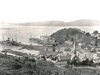 La ciudad y el puerto, Port Chalmers, Nueva Zelanda, 1895 de Unbekannt