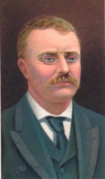 Theodore Roosevelt, 26º presidente de los Estados Unidos, 1906 de Unbekannt