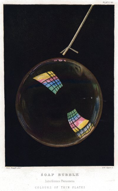 Thomas Young 1773-1829, películas delgadas ilustradas por burbuja de jabón, 1872 de Unbekannt