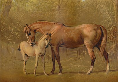 Yegua pura sangre y potro, c1879 de Unbekannt