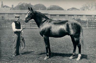 Caballo de carreras de pura sangre, Bend Or, c1880 de Unbekannt