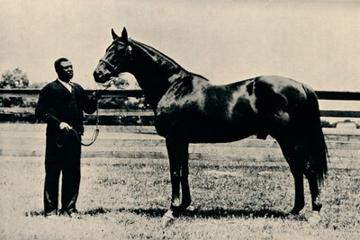 Pura sangre de carreras, Man O War, c1920 de Unbekannt