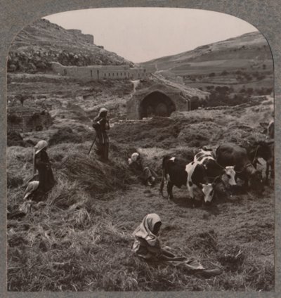 Trillando grano cerca del Pozo de Jacob, c. 1900 de Unbekannt