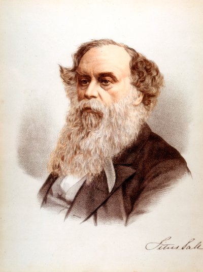Titus Salt, comerciante de lana e industrial británico, c.1880 de Unbekannt