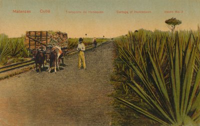 Transporte de hojas de henequén, Matanzas - Cuba de Unbekannt