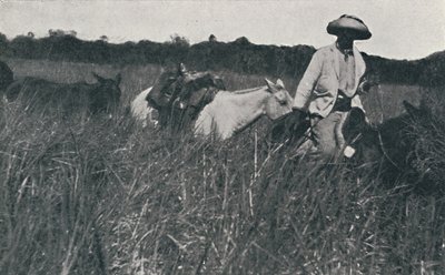 Viaje por las Pampas, 1916 de Unbekannt