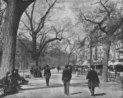 Calle Tremont y El Common, Boston, EE.UU., c1900 de Unbekannt