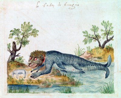 Tritón, siglo XVI de Unbekannt