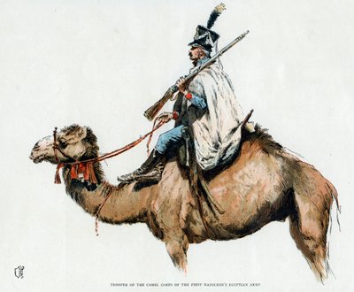Soldado del cuerpo de camellos del Primer Ejército Egipcio de Napoleón, 1790s siglo XX de Unbekannt