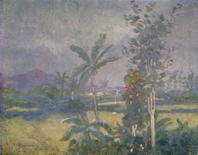Lluvias tropicales en las Indias Occidentales, 1924 de Unbekannt