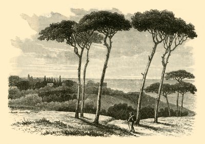 Tusculum, 1890 de Unbekannt