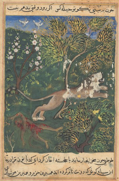 Tuti-Nama Cuentos de un loro: Cuento XXIX, c. 1560 de Unbekannt