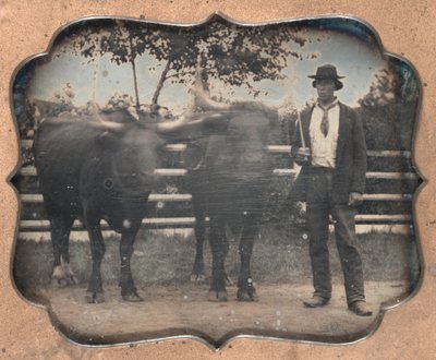 Dos Bueyes y Conductor, 1850s de Unbekannt