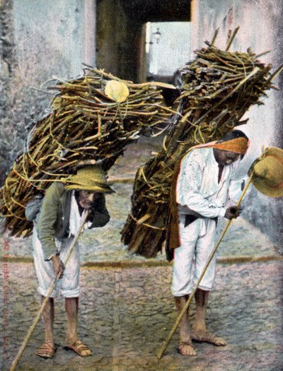 Dos hombres cargando fardos de madera en sus espaldas, México, principios del siglo XX de Unbekannt