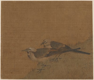Dos lavandera blanca, dinastía Yuan de Unbekannt