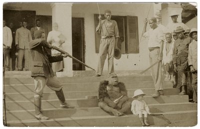Un gorila domesticado, c.1910 de Unbekannt