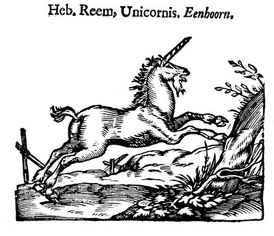Unicornio, 1644 de Unbekannt