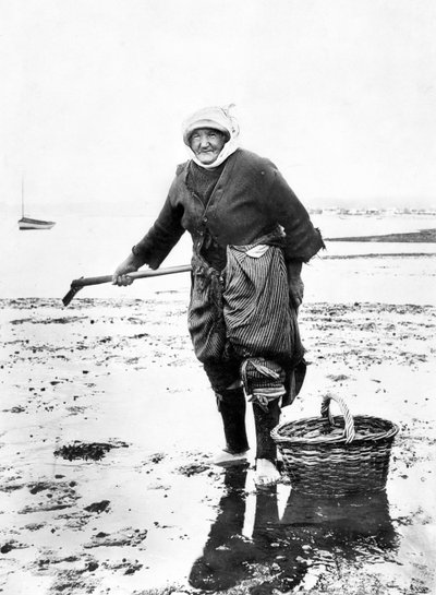 Reino Unido: Una anciana recogiendo berberechos en la orilla del mar. c1890 de Unbekannt