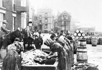 Reino Unido: Destripadoras de arenques escocesas trabajando en Scarborough. Scarborough, c 1890 de Unbekannt