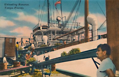 Descargando plátanos, Tampa, Florida, c. 1940s de Unbekannt