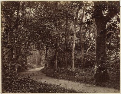 Paisaje Sin Título, principios de 1860 de Unbekannt