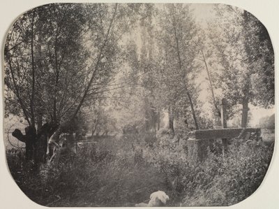 Paisaje sin título con perro, c. 1910 de Unbekannt