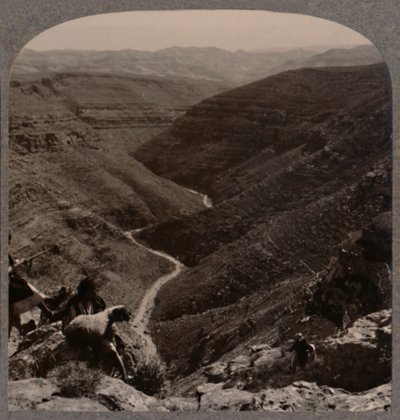 Valle del Arno, pastor y ovejas en primer plano, c1900 de Unbekannt
