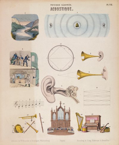 Varios instrumentos musicales y sonidos, Wurtemberg, c1850 de Unbekannt