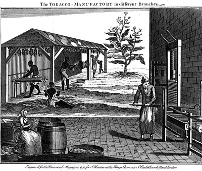 Varias etapas en la producción de tabaco, Virginia, EE.UU., 1750 de Unbekannt